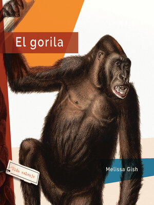 cover image of El gorila
